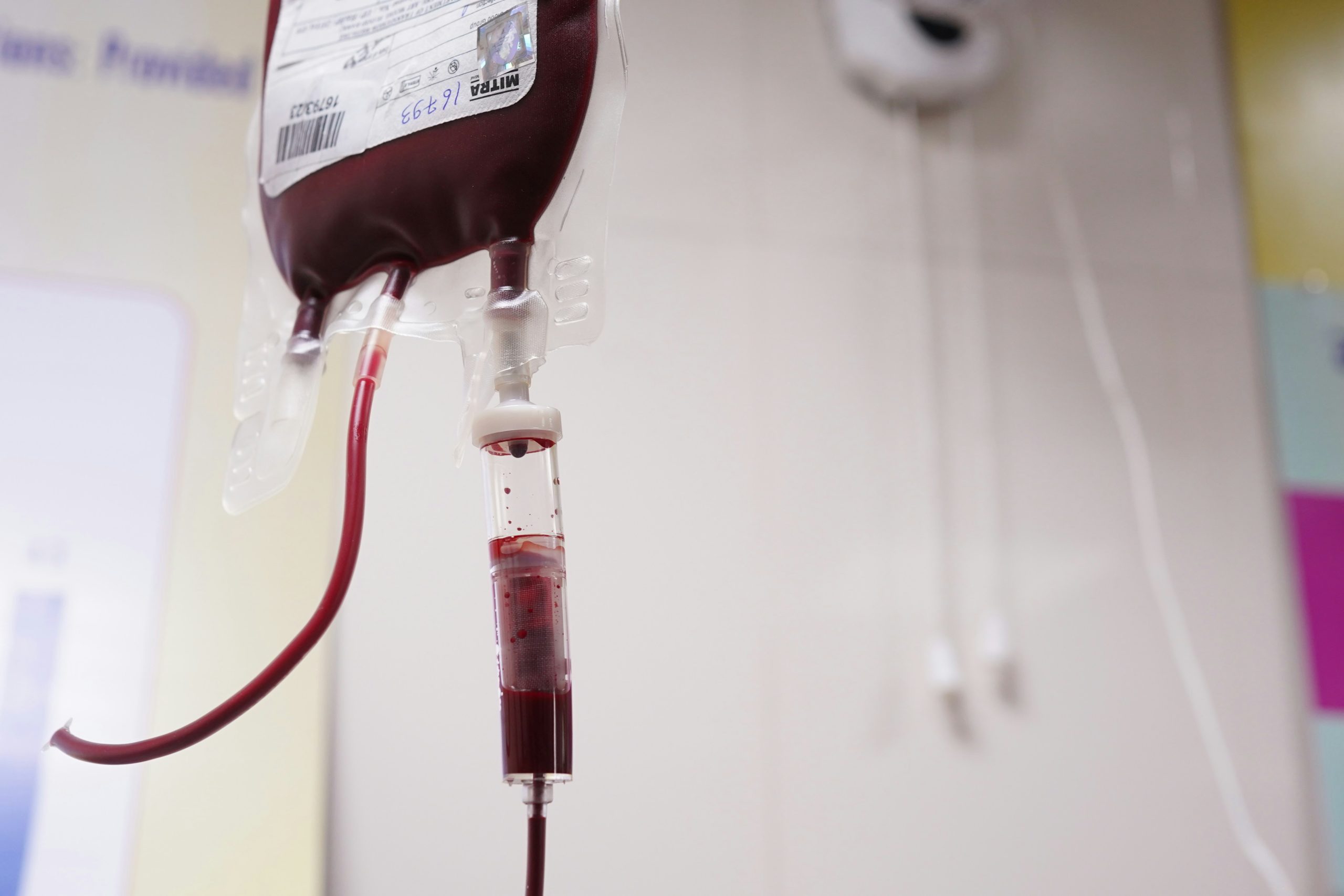 Economy Blood Transfusion Set